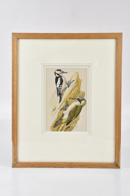 Lot 2592 - CHARLES FREDERICK TUNNICLIFFE OBE RA...