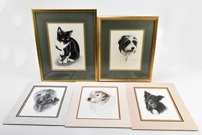 Lot 1372 - ELAINE WALKER; five original portraits of animals