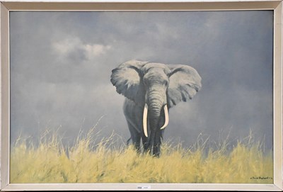 Lot 596 - AFTER DAVID SHEPHERD; colour print, 'Wise Old...