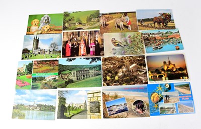 Lot 770 - A large quantity of loose postcards, black and...