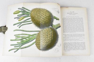 Lot 35 - HOOKER (SIR WILLIAM), CURTIS’S BOTANICAL...