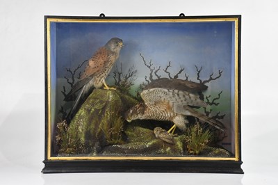 Lot 1374 - TAXIDERMY; a glass case containing two...