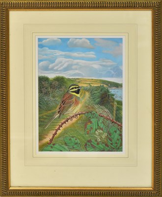 Lot 545 - DENNIS GREEN (1942-2024); four gouache,...