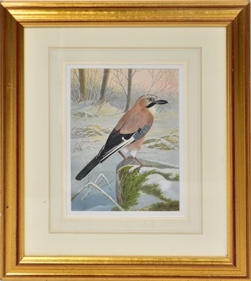Lot 546 - DENNIS GREEN (1942-2024); five gouache, 'Jay...