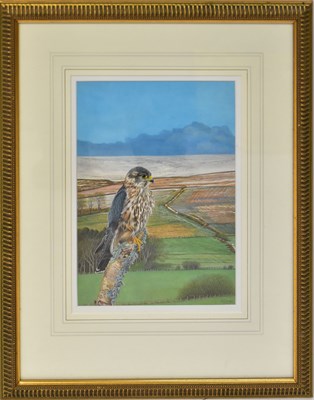Lot 548 - DENNIS GREEN (1942-2024); three gouache, 'Cock...