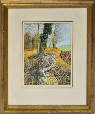 Lot 338 - TREVOR BOYER (born 1948); two gouaches,...