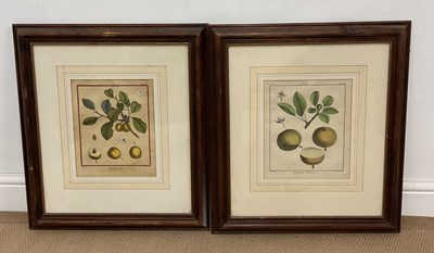 Lot 167 - AFTER CLAUDE AUBRIET (1665-1742); a pair of...