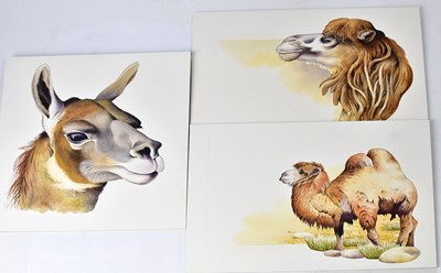 Lot 536 - ANTHONY SMITH (British, contemporary); eight...