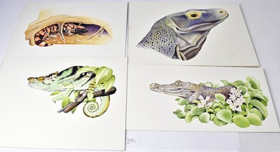 Lot 535 - ANTHONY SMITH (British, contemporary); eight...