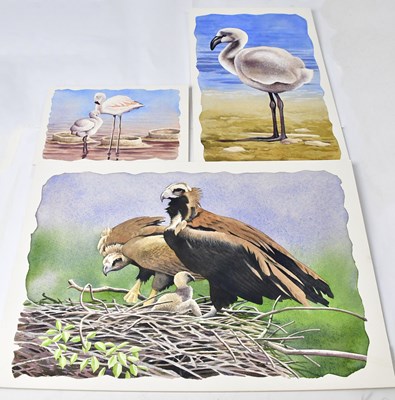 Lot 538 - ANTHONY SMITH (British, contemporary); nine...