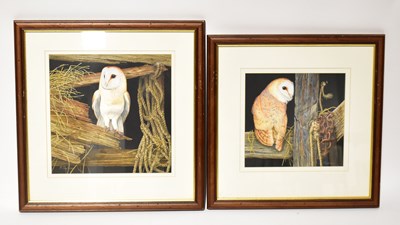 Lot 552 - TERRY SULLIVAN; an acrylic of a barn owl in a...