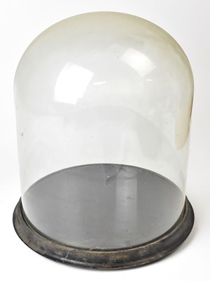 Lot 404 - A Victorian glass dome on ebonised circular...