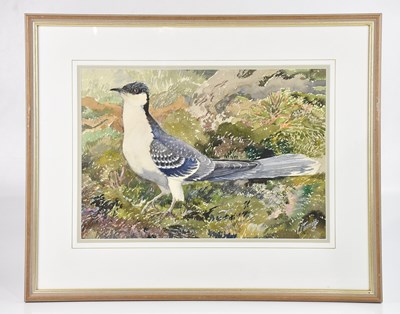 Lot 1461 - CHARLES FREDERICK TUNNICLIFFE (1901-1979);...