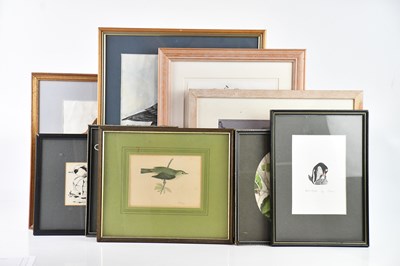 Lot 1433 - M CANSTER; watercolour and pencil of a golden...