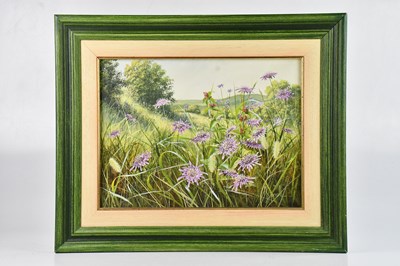 Lot 1283 - MARY DIPNALL; oil on canvas, 'Scabious and...