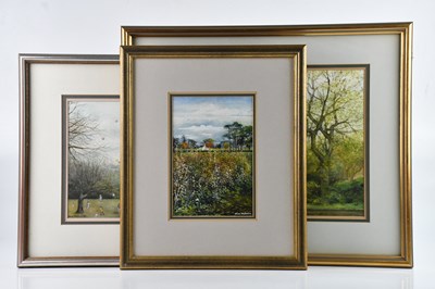 Lot 1471 - ANNE STAFFORD; three watercolours, the largest...