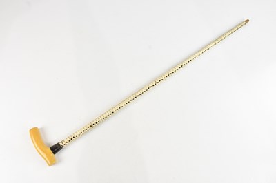 Lot 274 - An early 20th century vertebrae walking cane...