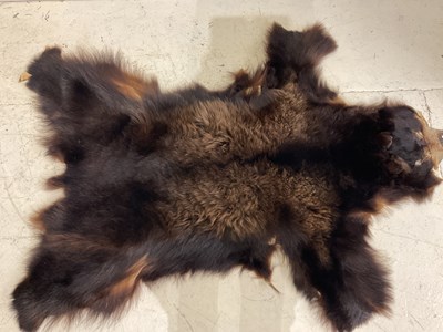Lot 2167 - A 19th century bear skin rug, 190 x 120cm.