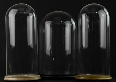 Lot 267 - Three glass domes on circular wooden bases,...