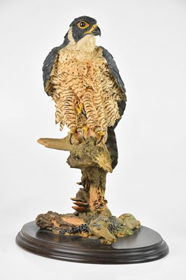 Lot 1160 - COUNTRY ARTISTS; a peregrine falcon resin...