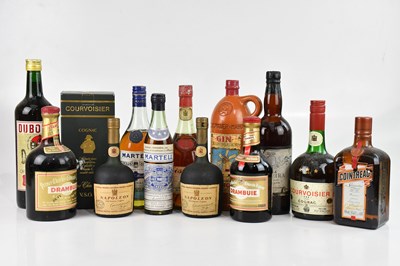 Lot 2489 - COGNAC; a group of various bottles comprising...