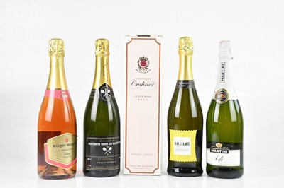 Lot 2480 - CHAMPAGNE AND SPARKLING WINE; a bottle of...