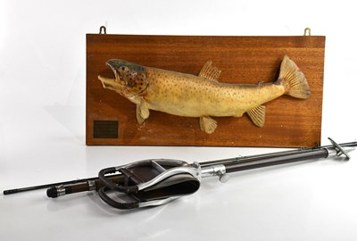 Lot 1453 - TAXIDERMY; a mounted '4lb Brown Trout taken on...