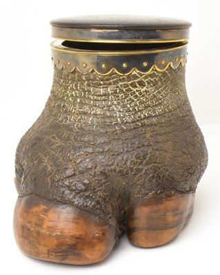 Lot 404 - TAXIDERMY; a 19th century taxidermy Rhinoceros...