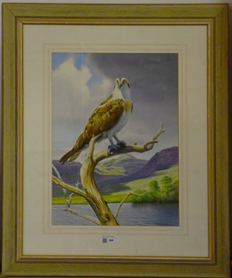 Lot 508 - TREVOR BOYER (BRITISH b 1948), watercolour and...
