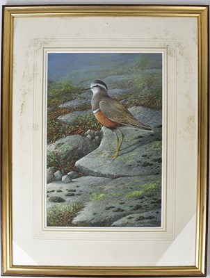 Lot 511 - RAYMOND WATSON (b 1958), near pair of...