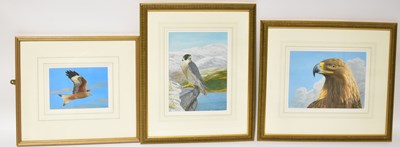 Lot 507 - DENNIS GREEN (1942-2024); watercolour and...