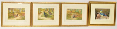 Lot 505 - DENNIS GREEN (1942-2024); gouache, ‘Male...