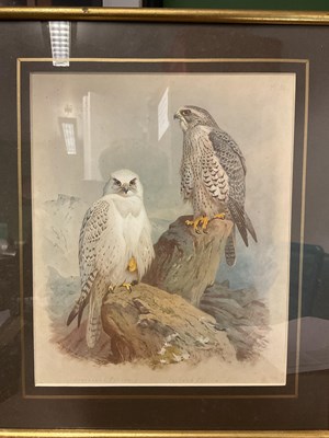 Lot 596 - AFTER ARCHIBALD THORBURN (1860-1935); seven...