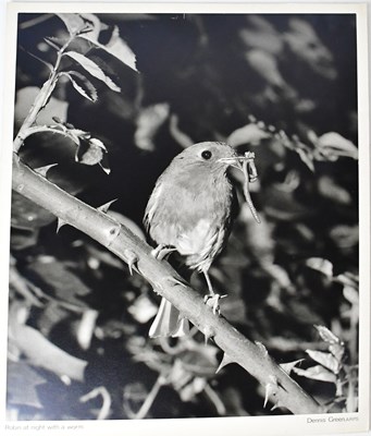 Lot 586 - DENNIS GREEN (1942-2024); a large collection...