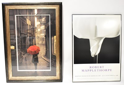 Lot 577 - A colour lithograph of Stefano Corso's 'Red...