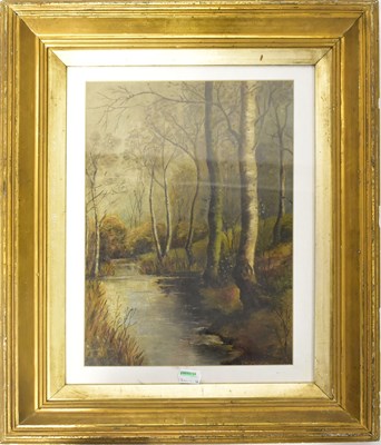 Lot 494 - UNATTRIBUTED; oil on canvas, wooded landscape...