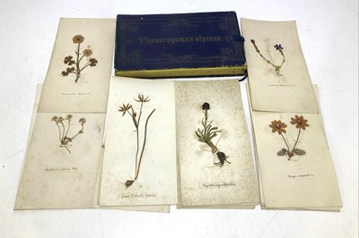 Lot 1354 - BRUNNER (J), PHANEROGAMAE ALPINAE (HERBARIUM),...
