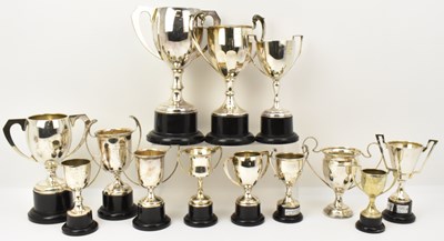 Lot 480 - Trophies
