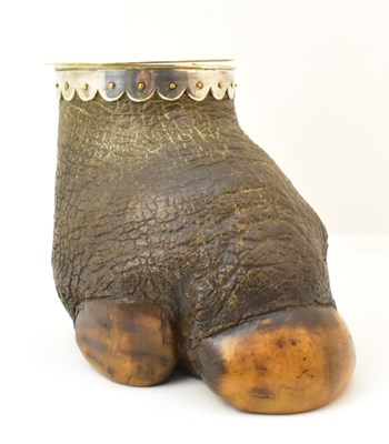 Lot 405 - TAXIDERY; a 19th century taxidermy Rhinceros...