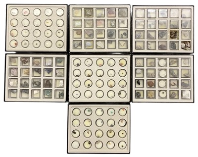 Lot 309 - TREASURES OF THE EARTH; seven trays of...