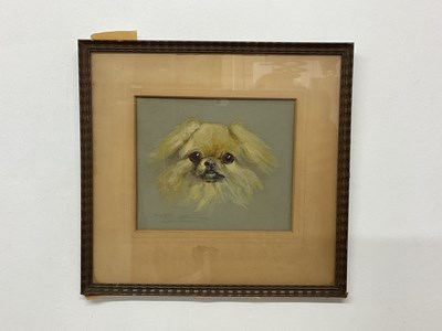 Lot 328 - DOROTHY ??; watercolour, study of a Pekinese...
