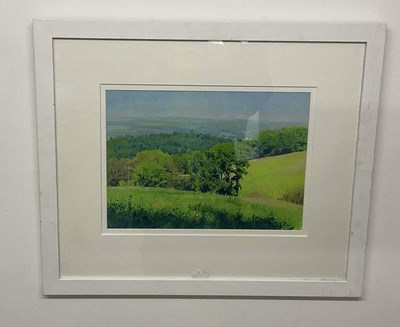 Lot 306 - RICHARD THORN (contemporary); watercolour and...