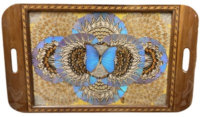 Lot 315 - ENTOMOLOGY INTEREST; a large Victorian...