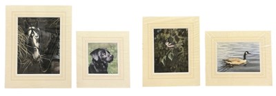 Lot 292 - GEORGE PICKERING; watercolour, 'Canada Goose',...