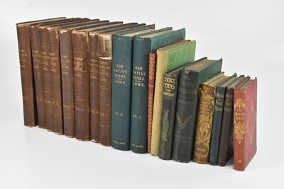 Lot 2173 - LOWE (E J ), FERNS, BRITISH AND EXOTIC, vols 1-...