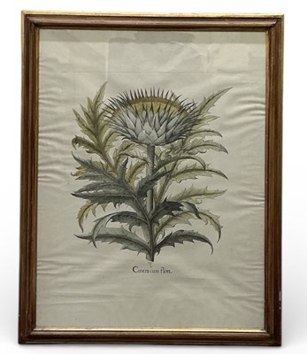 Lot 287 - AFTER BASILIUS BESLER; a reproduction print,...
