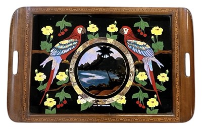 Lot 295 - ENTOMOLOGY INTEREST; a 19th century...