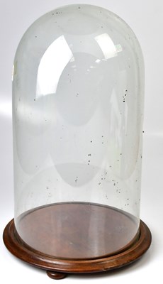 Lot 277 - A circular glass dome, on mahogany base with...