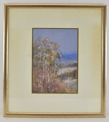 Lot 248 - HOWARD IRELAND (Australian, born 1939); oil on...