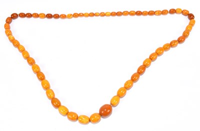 Lot 1239 - An amber graduated bead necklace